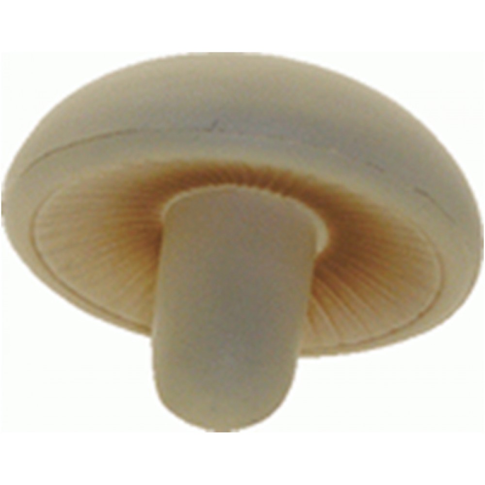 Mushroom Logo Branded Mushroom Logo Branded