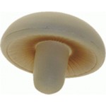 Mushroom Logo Branded