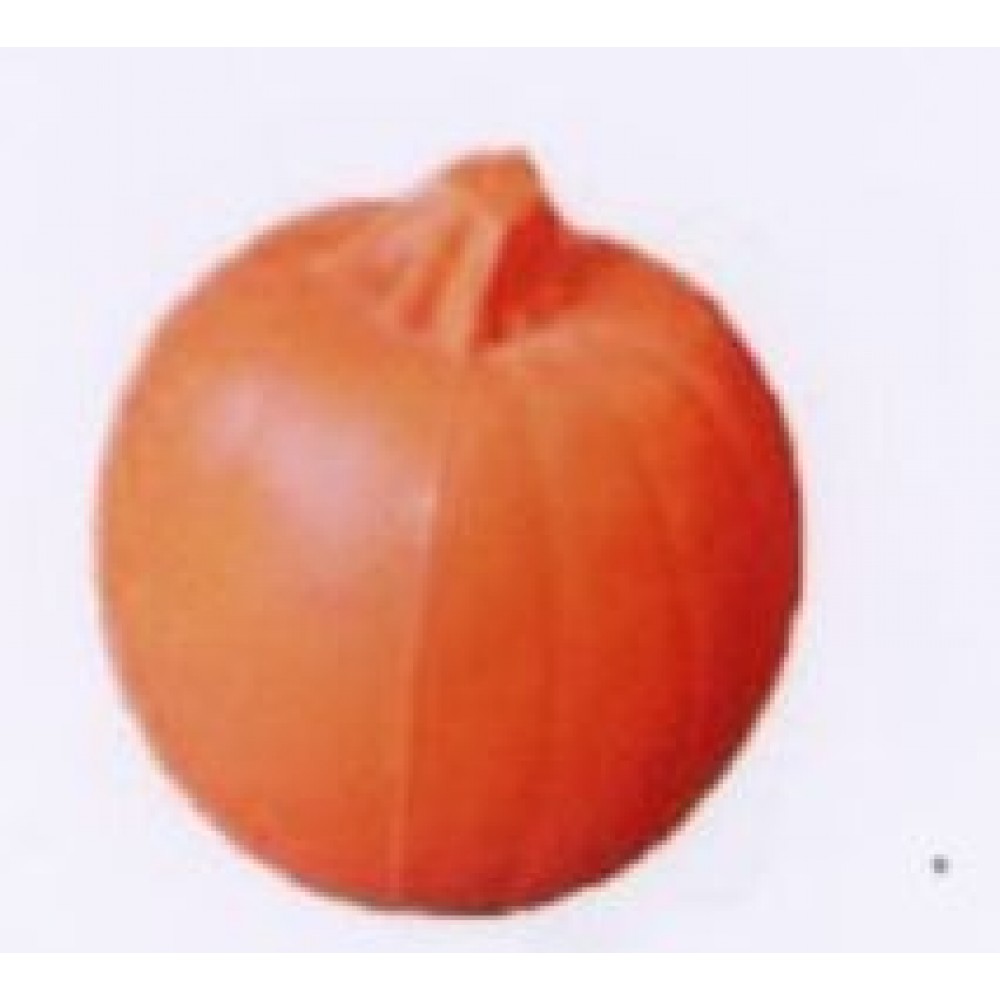 Food Fruit Series Large Pumpkin Stress Reliever with Logo