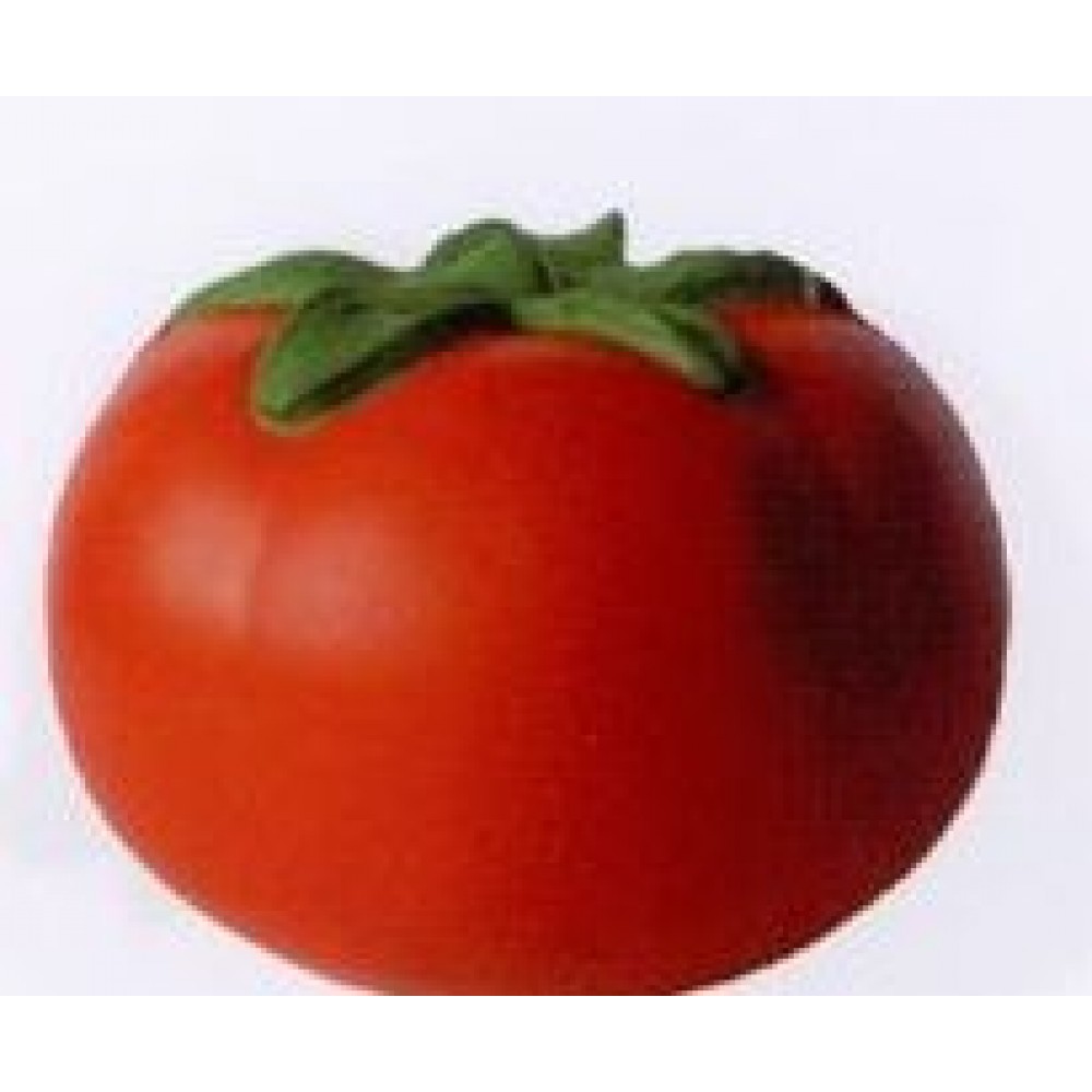 Food Fruit Series Tomato Stress Reliever with Logo