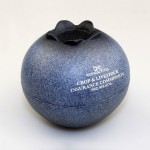 Logo Branded Blueberry Shaped Stress Reliever