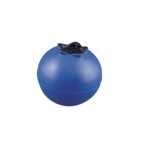 Custom Blueberry Shaped Stress Ball