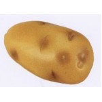 Food Series Potato Stress Reliever with Logo