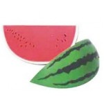 Food Series Watermelon Stress Reliever with Logo
