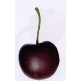 Custom Food Fruit Series Cherry Stress Reliever