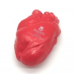 Personalized Custom Classic Body Organ Heart Shape Stress Reliever Toy