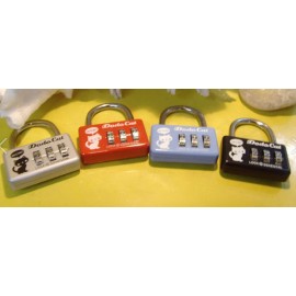 Personalized Coded Metal Lock