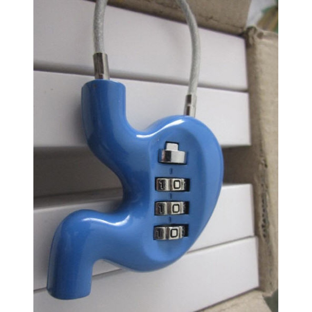 Personalized Coded Metal Lock