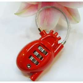 Custom Coded Metal Lock  Custom Coded Metal Lock