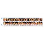 Personalized 12" Plastic First Ladies Wide Ruler