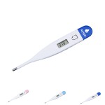 Logo Branded Electronic Digital Thermometer