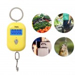 Key Chain Portable Mini Electronic Scale Weight Digital Scale with Logo