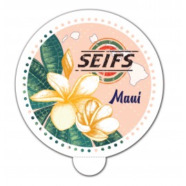 Customized Car Coaster Insert  Customized Car Coaster Insert