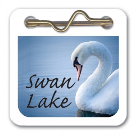 Promotional Deluxe Swim/Pool I.D. Bathing Tag