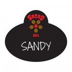 Laminated Personalized Name Badge (2.5"x3") Rectangle w/Oval bump with Logo