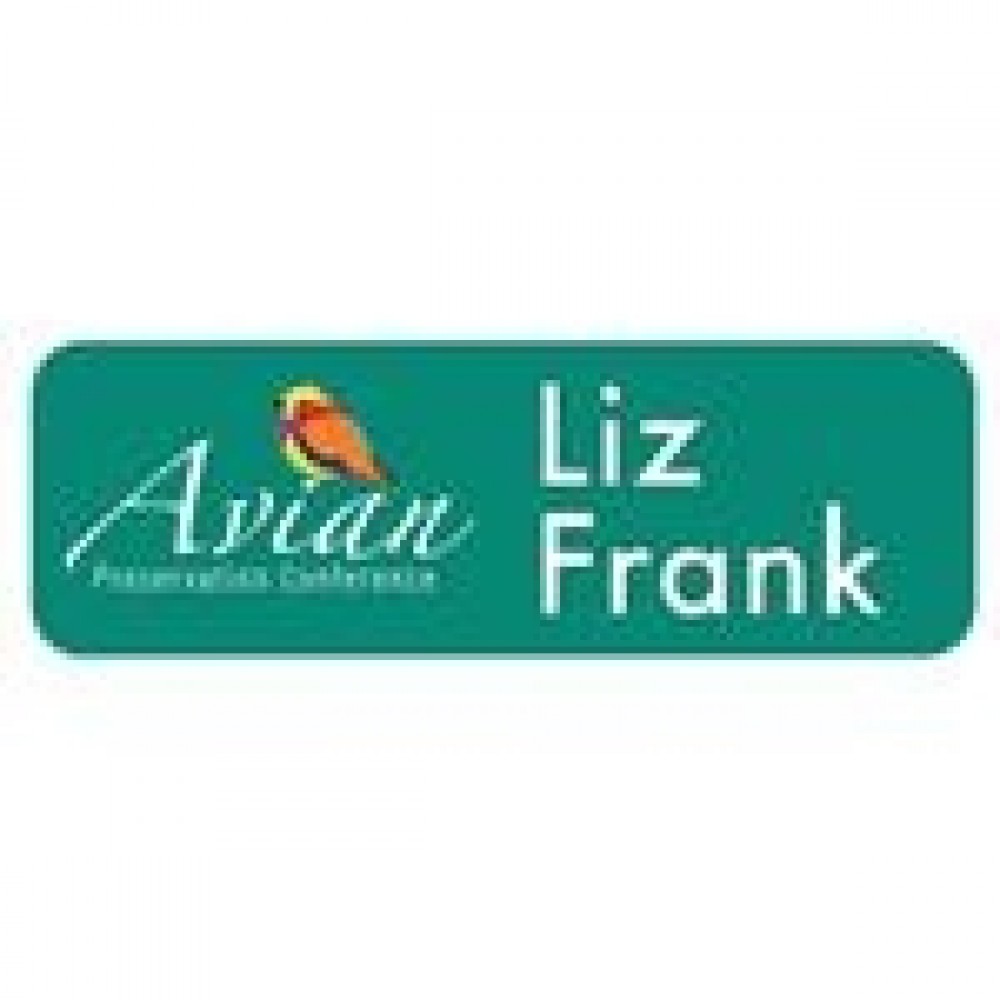 Personalized 3" x 1" Plastic Badge, Full-Color and Engraved Imprint