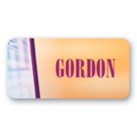 Full Color Name Badge W/Personalization (1"X2") Rectangle with Logo