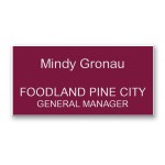 Custom Shape Deluxe Engraved Name Badge (6-10 Square Inches) with Logo