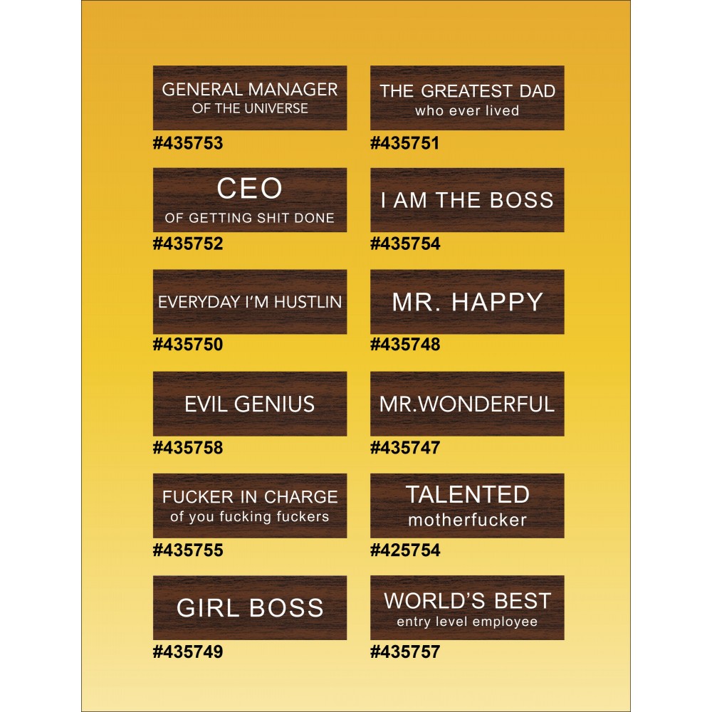 Customized Gag Name Tags- Magnetic Back- Personalized Styles