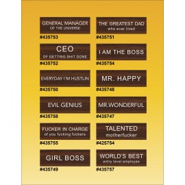 Customized Gag Name Tags- Magnetic Back- Personalized Styles