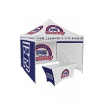 10ft x 10ft Custom Canopy Tent - Event Platinum Package with Logo