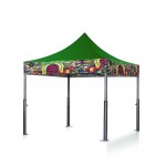 Logo Branded V2 Tent With Gas Spring Technology & Solid Color Top (13'x13')