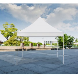 White Canopy Tent (Topper and Frame) - (10