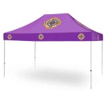Custom Imprinted Commercial Grade Vinyl Canopy Outdoor Pop Up Tent - Digital Patch (10'x15')