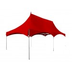 Marquee With Solid Color Vinyl Top (20'x40') Logo Branded