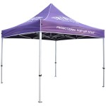 10' x 10' Pop Up Shelter Canopy Tent Logo Branded