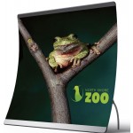 Arch Frame Fabric Floor Backdrop Custom Printed