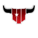 Longhorn Bull Paper Window Sign (Approximately 8"x8") Custom Printed