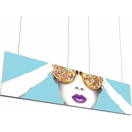 Vector Frame Hanging Light Box 15ft x 4ft with Logo