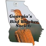 Georgia State Paper Window Sign (Approximately 8"x8") Logo Branded