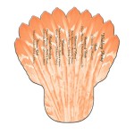 Customized Feather Hand Fan Without Stick