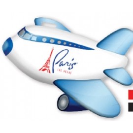 Airplane Luggage Tag Custom Printed