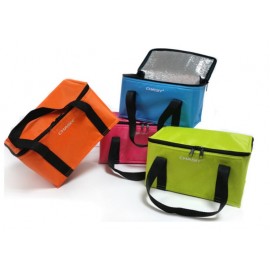 Lunch Cooler with Logo  Lunch Cooler with Logo