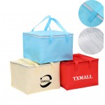 6-pack Non-Woven Insulated Picnic Lunch Cooler Bag with Logo