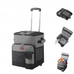 Custom Cooler Bags with Wheels (direct import)