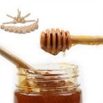Honey Wood Stirrer Stick with Logo