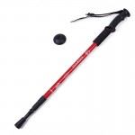 Custom Portable Hiking Pole