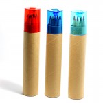 Recycled Crayon 12 PCS Set Logo Branded