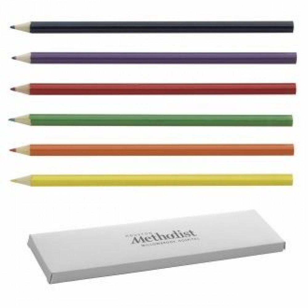 BIC Graphic Coloring Pencils Logo Branded