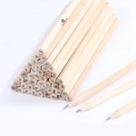 Hexagonal Natural Wood 2B Pencil Logo Branded