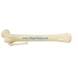 Logo Branded Bone Pen  Logo Branded Bone Pen