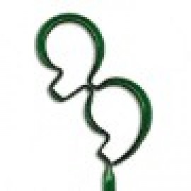 Custom Engraved 99 Inkbend Standard, Bent Pen