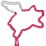 Custom Engraved Flying Pig Multi-Color Inkbend Standard, Bent Pen