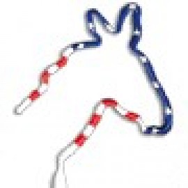 Logo Branded Donkey USA Multi-Color Inkbend Standard, Bent Pen