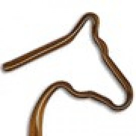 Horse Head Inkbend Standard, Bent Pen Logo Branded  Horse Head Inkbend Standard, Bent Pen Logo Branded