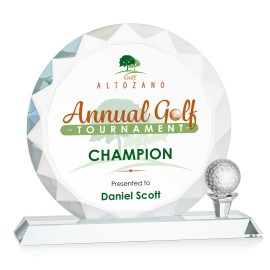 Promotional VividPrint Award - Nashdene 8" Diam